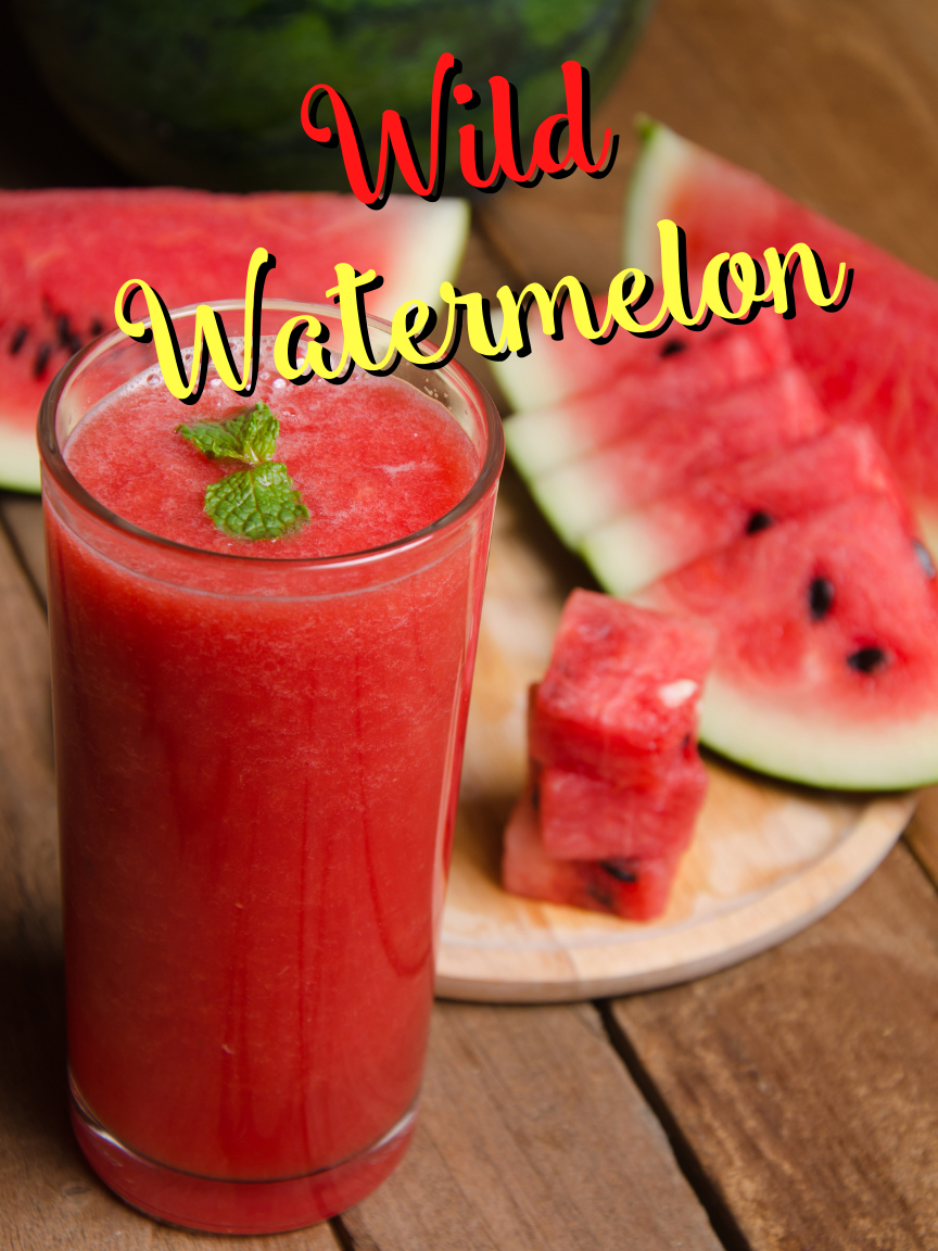 Smoothie Zone Menu - Wild-Watermelon